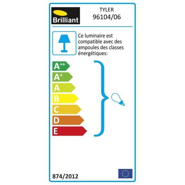 Applique exterieure TYLER Noir ampoule E27 max 60 W - Brilliant