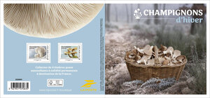 Collector 4 timbres - Champignons d'hiver - Lettre Verte