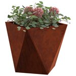 vidaXL Jardinière 2 Pièces Rouillé 30 x 30 x 30 cm