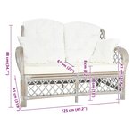 vidaXL Canapé à 2 places Gris Rotin