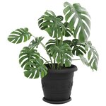 vidaXL Pots de plantes 6 Pièces Noir Ø 30 x 25 cm Plastique