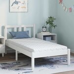vidaXL Matelas avec Couche de Coco Blanc 160 x 80 cm Mousse PU