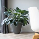 Capi Vase élégant Groove 46x58 cm Anthracite