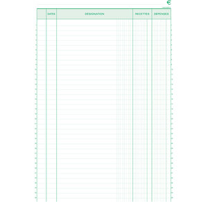 Manifold 'Recettes-Dépenses' 297 x 210 mm 50 feuillets dupli EXACOMPTA