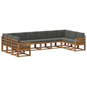vidaXL Ensemble de canapés d'extérieur 10 pc Naturel et Anthracite