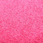 vidaXL Paillasson lavable Rose 90x150 cm