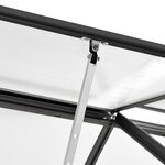 vidaXL Serre Anthracite Aluminium 7 03 m²
