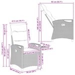 vidaXL Chaise de jardin inclinable 56 x 60 x 112 cm acier
