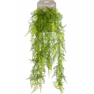 Emerald Asperges Plumosus artificielle 80 cm