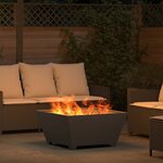 vidaXL Braise Noir 80 x 80 x 40 cm Acier laminé à froid