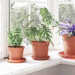 vidaXL Pot à fleurs rond 6 Pièces Rouge brique Ø 15 x 12 cm Plastique