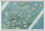 Pièce de monnaie en Argent 1 Cedi g 5 Millésime 2026 ALMOND BLOSSOM (PRÉCOMMANDE)