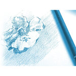 Bloc Dessin à Grain 125g A5 40F CLAIREFONTAINE