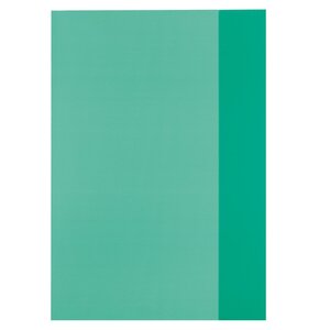 Protège-cahiers format A4 PP Vert transparen HERLITZ