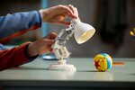 LEGO Ideas - Luxo Jr. de Disney Pixar - Set de Modèle Articulé 21357