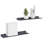 vidaXL Étagère flottante 2 pc Anthracite 40 x 8 5 x 2 5 cm Acier