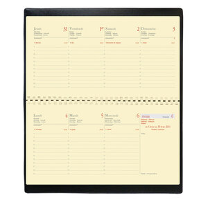 Recharge (Sans Couverture) Agenda Planital FR 8,8 x 17 cm QUOVADIS