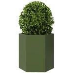vidaXL Jardinières 2 Pièces vert olive hexagone 46x40x45 cm acier
