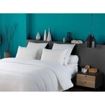 2 oreillers tendance 50 x 70 cm polyester