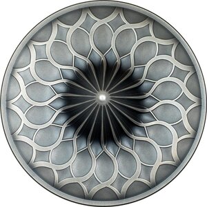 Pièce de monnaie en Argent 5 Dollars g 31.1 (1 oz) Millésime 2024 SPINNING COIN