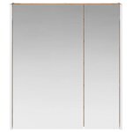 vidaXL Armoire Miroir de Salle de Bain Bois ancien 63 5 x 15 5 x 70 cm