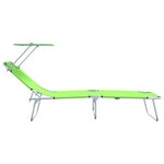 vidaXL Chaises Longues Pliantes 2 Pièces avec Auvent Vert Tissu Oxford 600D