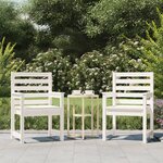 vidaXL Chaises de jardin 2 Pièces blanc 60x48x91 cm bois massif de pin