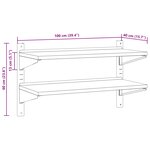 vidaXL Étagère murale à 2 niveaux 100x40x60cm argenté acier inoxydable