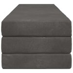 vidaXL Canapé-lit pliable 180 x 67 x 45 cm Gris foncé