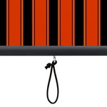 vidaXL Store roulant d'extérieur 120x250 cm Orange et marron