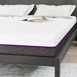vidaXL Matelas Blanc  Gris 160 x 200 cm Mousse