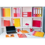 Classeur 4 Anneaux 30mm Iderama Pp Polypropylène 7/10e - A4 Maxi - Couleurs Assorties - X 15 - Exacompta