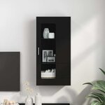 vidaXL Meuble mural avec porte Noir 55 x 29 x 100 cm Bois d'ingénierie