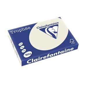 Ramette 250 Feuilles Papier 160g A3 420x297 mm GRIS PERLE CLAIREFONTAINE