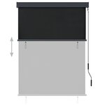 vidaXL Store roulant d'extérieur 120 x 250 cm Anthracite