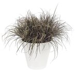 Pot de fleur Plastique Rond Loft Urban Blanc Ø 50 x 44 cm 48 l