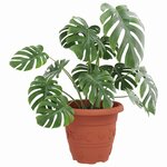 vidaXL Pot à fleurs rond 6 Pièces Rouge brique Ø 26 x 21 5 cm Plastique