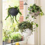 LECHUZA Jardinière suspendue BOLA Color 23 ALL-IN-ONE Ardoise