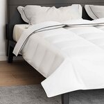 vidaXL Duvet d'hiver Blanc 240 x 260 cm Plume