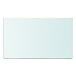 vidaXL Panneau pour étagère Verre transparent 50 x 30 cm