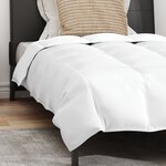 vidaXL Couette Autre avec oreiller 2 Pièces Blanc 155 x 220 cm Bas