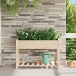 Jardinière vidaXL avec étagère 115x59x76 cm en bois massif de sapin