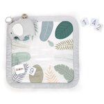Tapis d'éveil évolutif Sprout Spot  12 cartes évolutives et 5 jouets détachables