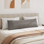 vidaXL Coussins de canapé 2 Pièces Taupe 145 x 40 cm tissu