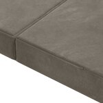 vidaXL Canapé-lit pliable 120 x 67 x 45 cm Gris clair
