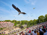 SMARTBOX - Coffret Cadeau Puy du Fou® : Billets d’entrée pour 2 adultes 2027 -  Multi-thèmes