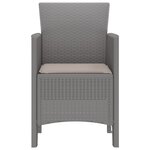 vidaXL Chaises de Jardin 2 Pièces Gris clair 53 x 49 x 85 cm Plastique