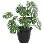 vidaXL Pot à fleurs rond 6 Pièces Noir Ø 26 x 21 5 cm Plastique