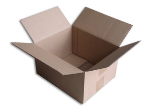 Lot de 500 Boîtes carton (N°22) format 250x200x140 mm