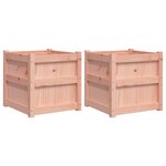 vidaXL Jardinières 2 Pièces bois massif douglas